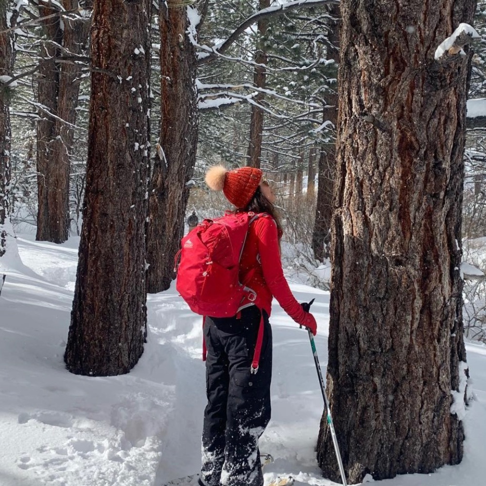 Gregory Backpack - image 1